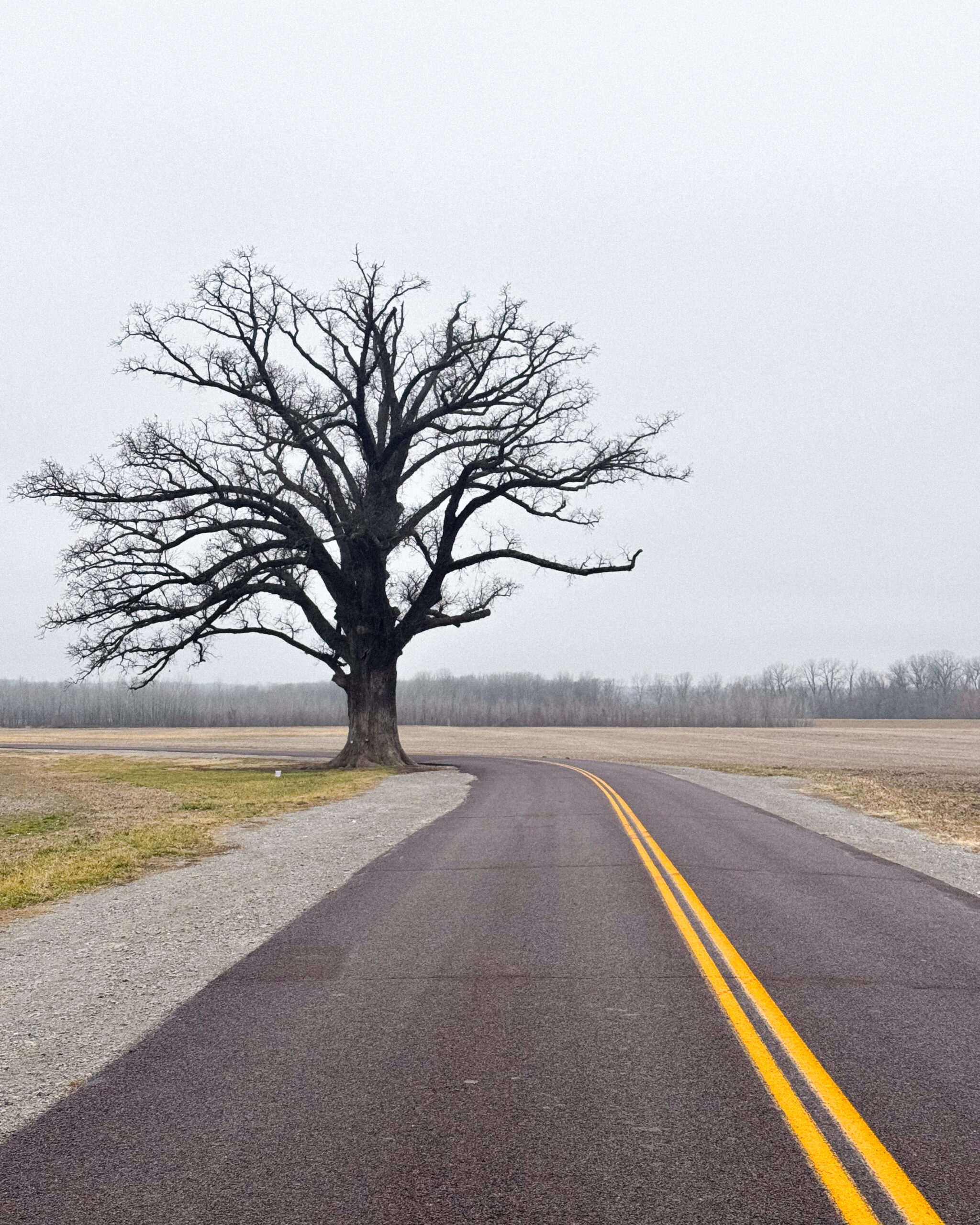 IMG_1937
