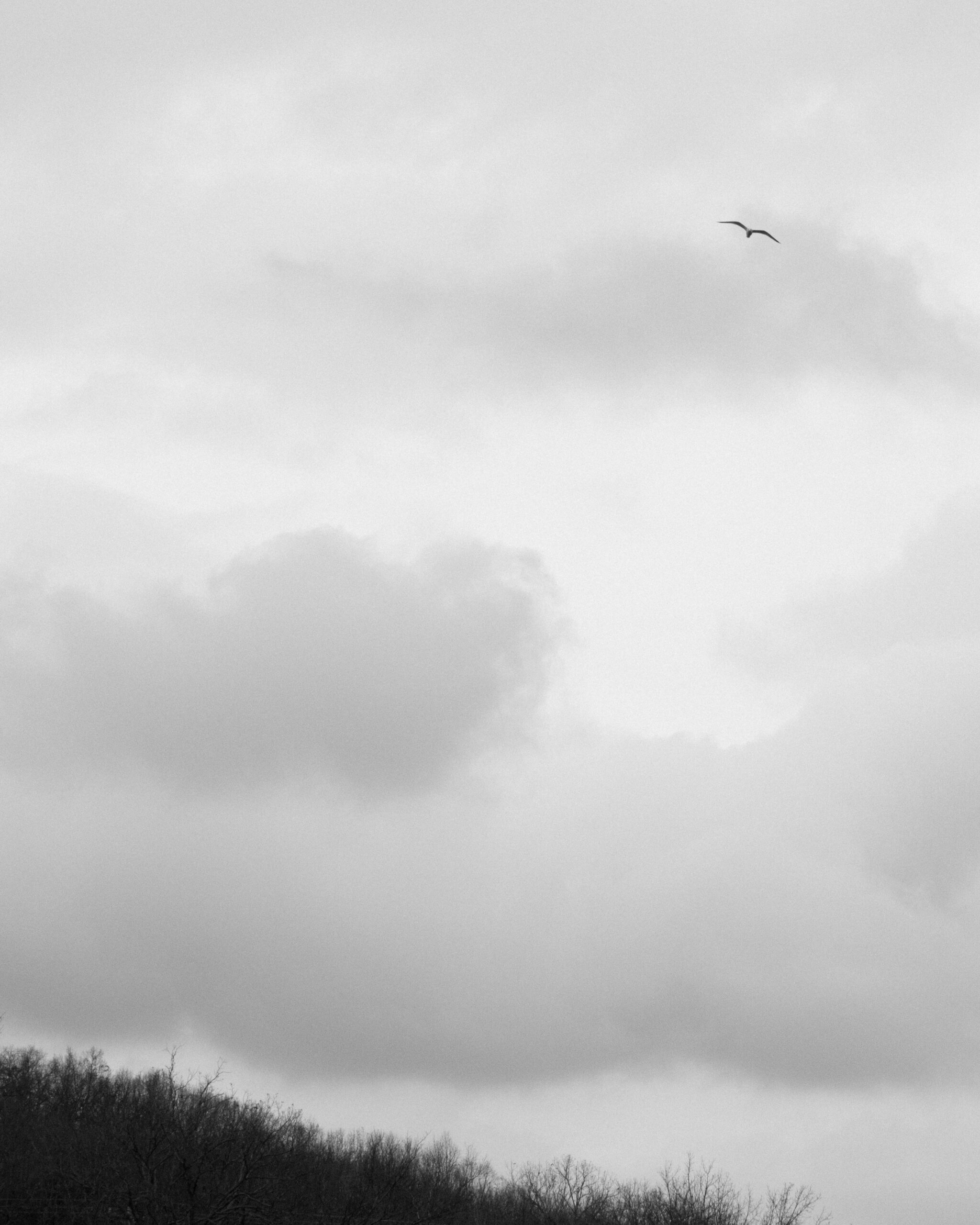 IMG_5276