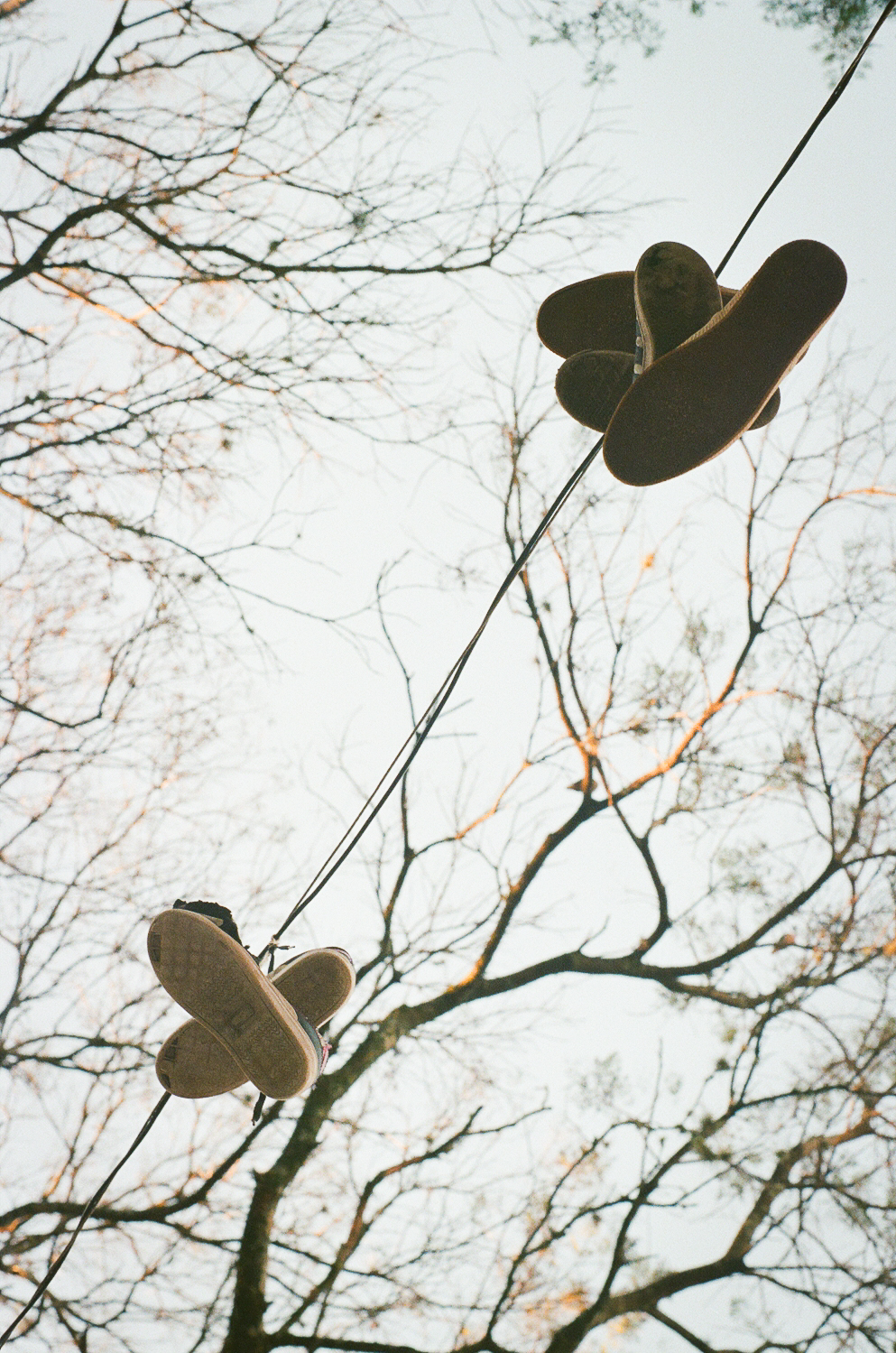 000046950017